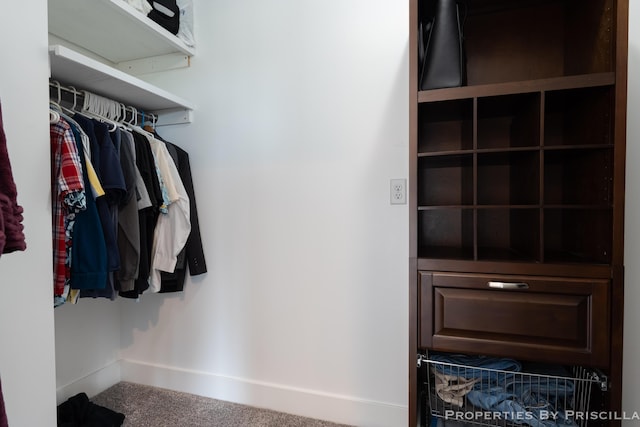 21491 8th Ave, Conklin, MI 49403 - spacious closet with carpet