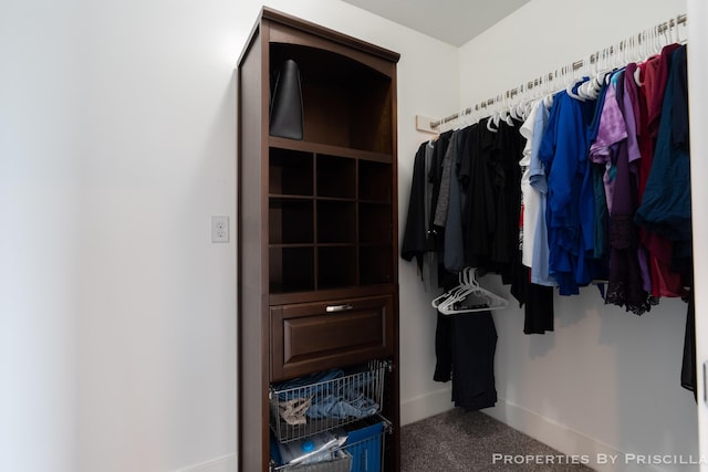 21491 8th Ave, Conklin, MI 49403 - walk in closet with carpet floors