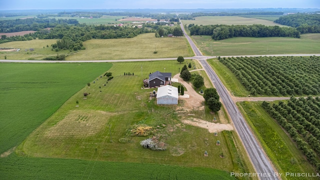 21491 8th Ave, Conklin, MI 49403 - aerial view of property and surrounding area with rural landscape and rows of crops