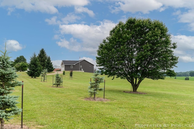 21491 8th Ave, Conklin, MI 49403 - view of grassy yard