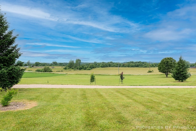 21491 8th Ave, Conklin, MI 49403 - view of grassy yard