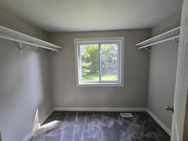 2159 E Eden Ct, Ann Arbor, MI 48108 - walk in closet with carpet floors