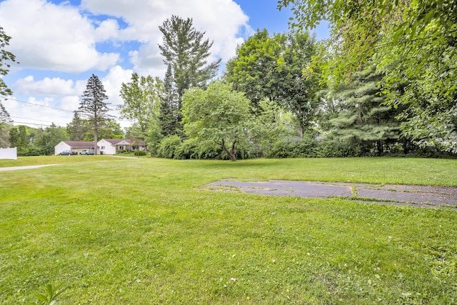3432 Loretta Dr, Jackson, MI 49201 - photo 39