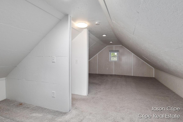 109 Fuller Ave SE, Grand Rapids, MI 49506 - additional living space with lofted ceiling, carpet, and a textured ceiling