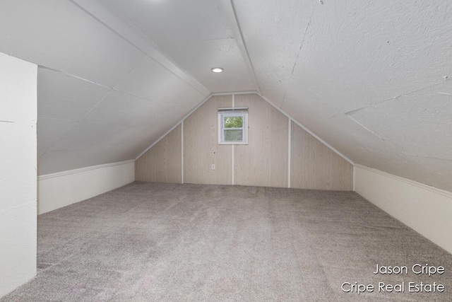 109 Fuller Ave SE, Grand Rapids, MI 49506 - additional living space featuring vaulted ceiling, carpet floors, a textured ceiling, and wood walls