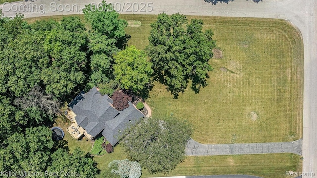 2868 Masters Ct, Pinckney, MI 48169 - bird's eye view