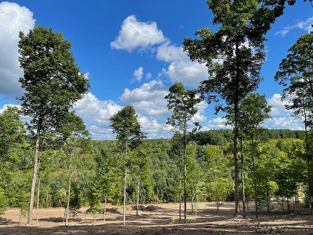 5707 Paradise Rnch, Kingsley, MI 49649