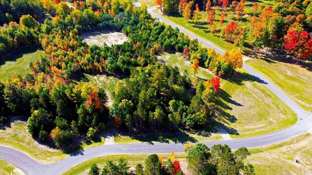 5707 Paradise Rnch, Kingsley, MI 49649