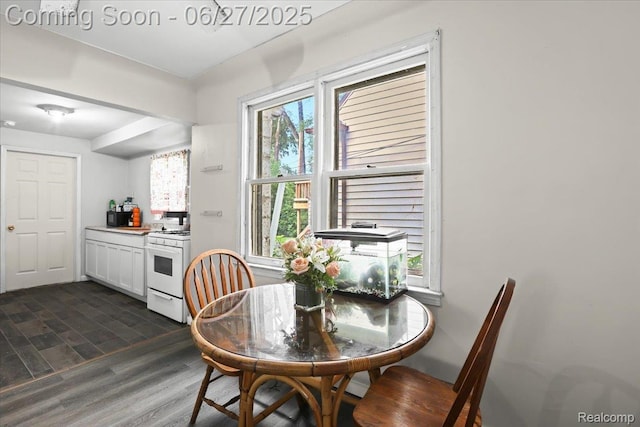 166 W Milton Ave, Oak Park, MI 48030 - dining room featuring dark wood-style flooring