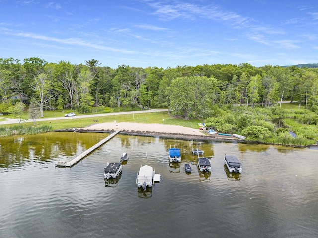 5510 W Lattin Rd, Pentwater, MI 49449 - dock area with a wooded view and a water view