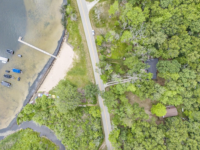 5510 W Lattin Rd, Pentwater, MI 49449 - aerial view of property's location