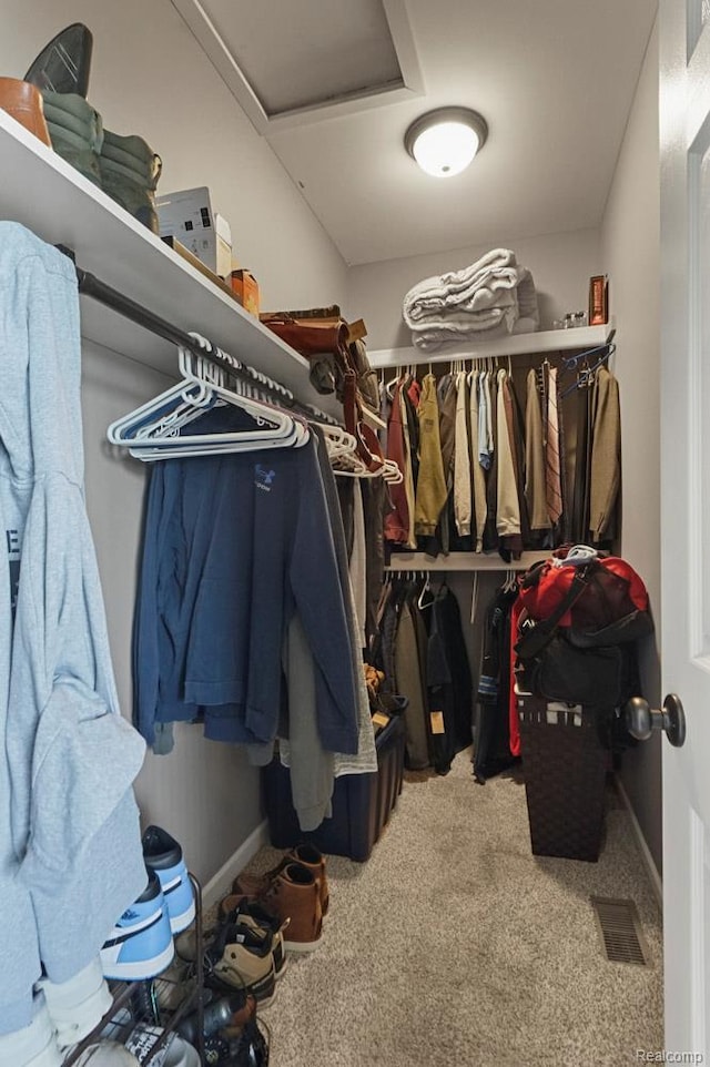 70298 Sunny Brook Ln, Macomb, MI 48062 - walk in closet with attic access and carpet flooring