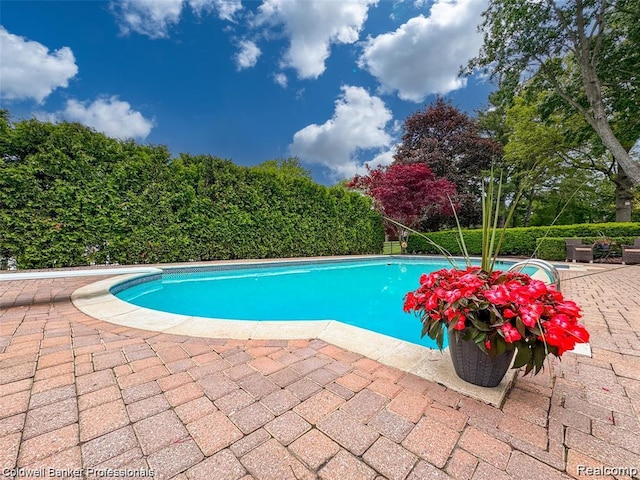 4462 Barchester Dr, Bloomfield Hills, MI 48302 - view of pool featuring a patio area
