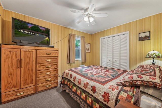 205 Alexander St, Cadillac, MI 49601 - bedroom with carpet, a closet, and a ceiling fan