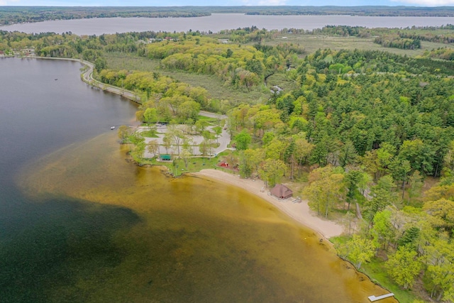 205 Alexander St, Cadillac, MI 49601 - aerial view of property and surrounding area with a nearby body of water and a heavily wooded area