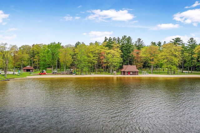 205 Alexander St, Cadillac, MI 49601 - water view with a gazebo