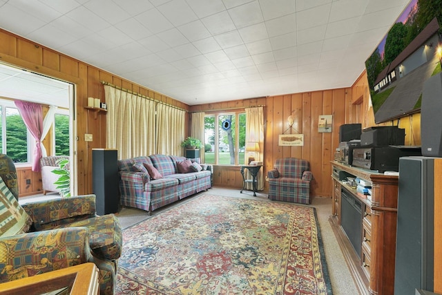 205 Alexander St, Cadillac, MI 49601 - living room featuring healthy amount of natural light, wooden walls, and light colored carpet