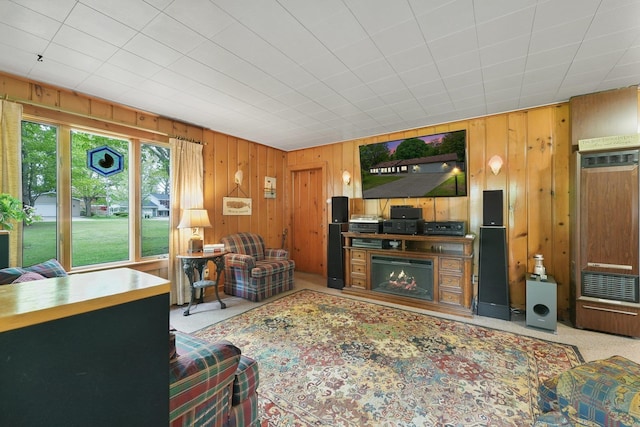 205 Alexander St, Cadillac, MI 49601 - living area featuring wooden walls, a heating unit, and a warm lit fireplace