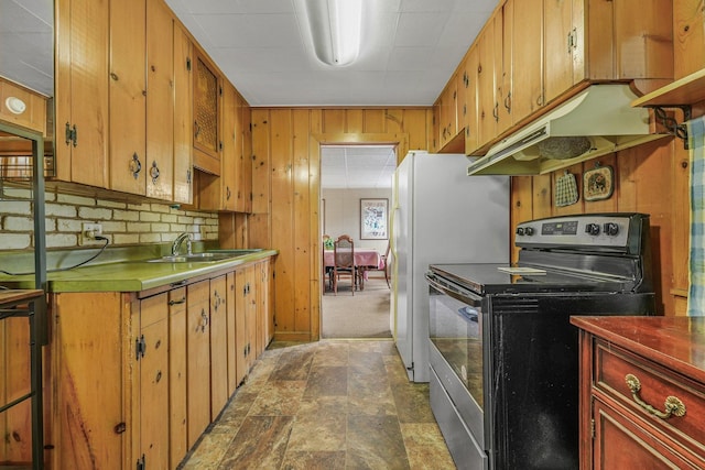 205 Alexander St, Cadillac, MI 49601 - kitchen with stainless steel range with electric stovetop, under cabinet range hood, stone finish flooring, freestanding refrigerator, and wooden walls