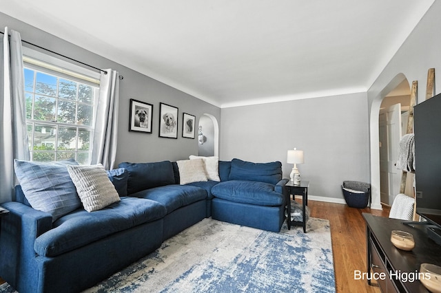 920 Graceland St NE, Grand Rapids, MI 49505 - living area featuring arched walkways and wood finished floors