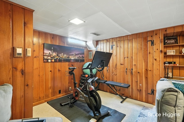 920 Graceland St NE, Grand Rapids, MI 49505 - exercise area featuring wooden walls and carpet