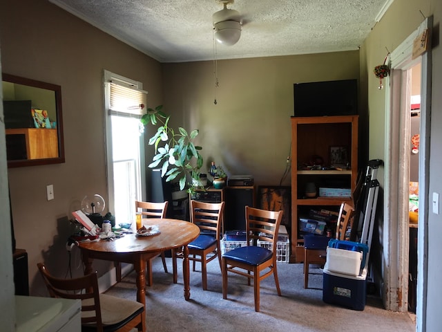 30 La Belle St SW, Grand Rapids, MI 49507 - photo 20