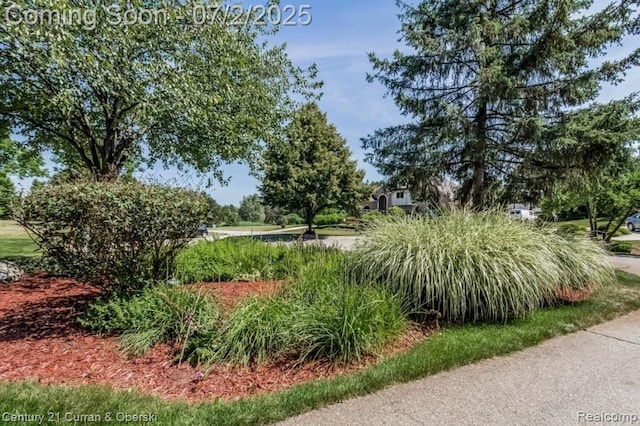 31085 Estate Woods Ct, Farmington Hills, MI 48331 - view of property's community