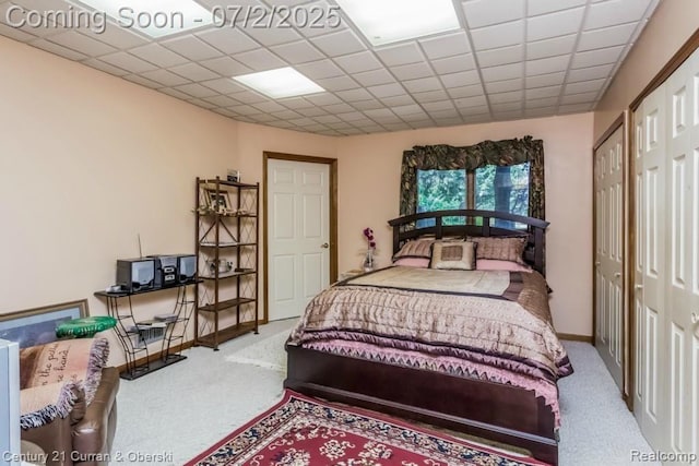 31085 Estate Woods Ct, Farmington Hills, MI 48331 - bedroom featuring carpet floors and a drop ceiling