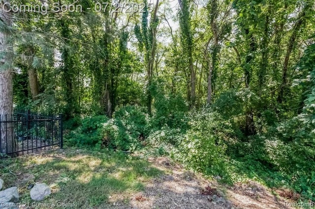 31085 Estate Woods Ct, Farmington Hills, MI 48331 - view of woods