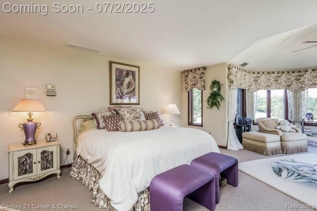 31085 Estate Woods Ct, Farmington Hills, MI 48331 - bedroom with carpet and lofted ceiling