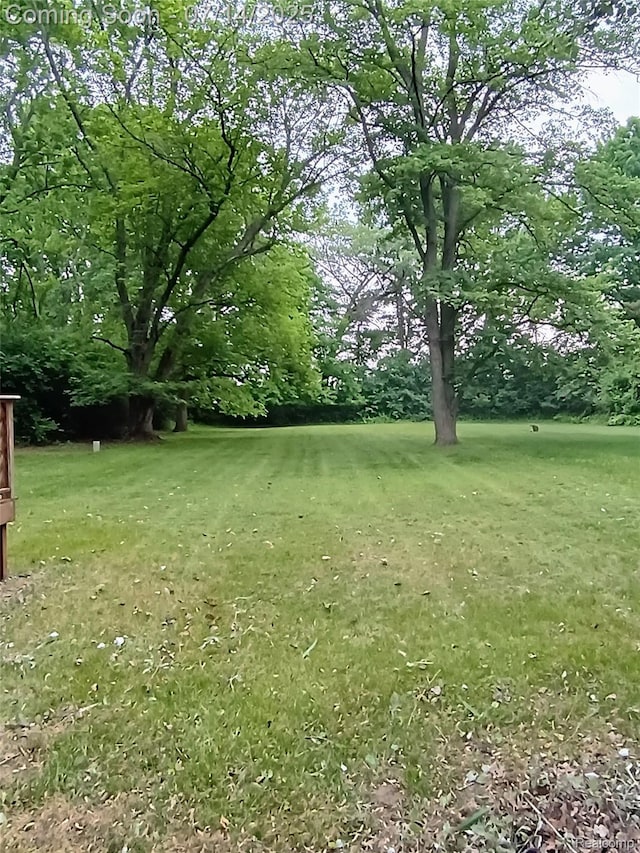 19241 Melrose Ave, Southfield, MI 48075 - view of green lawn