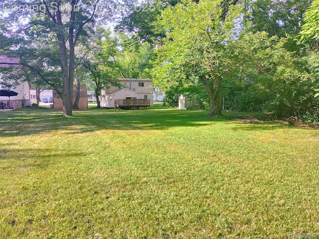 19241 Melrose Ave, Southfield, MI 48075 - view of green lawn