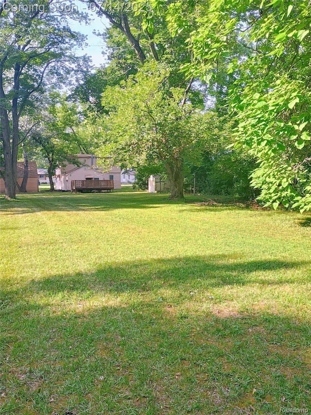 19241 Melrose Ave, Southfield, MI 48075 - view of green lawn