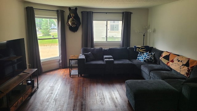 207 N State St, Gobles, MI 49055 - photo 7