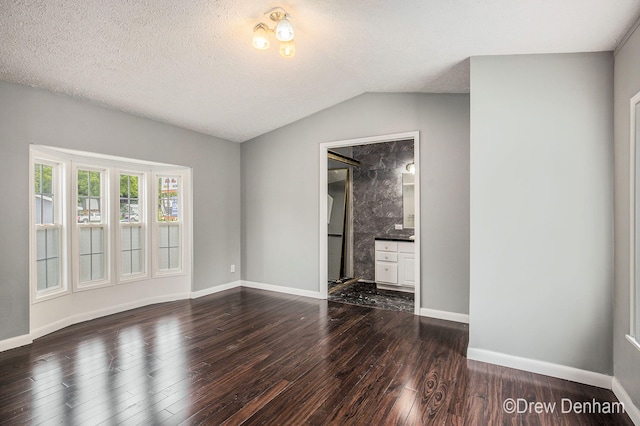 6973 W Blue Water Hwy, Saranac, MI 48881 - unfurnished living room with dark wood-style floors, vaulted ceiling, and a textured ceiling