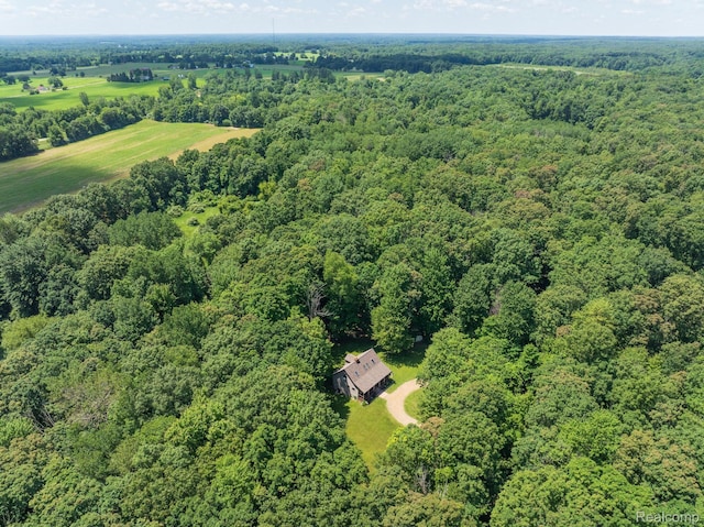 2931 N Lake Pleasant Rd, Attica, MI 48412 - aerial view of a forest