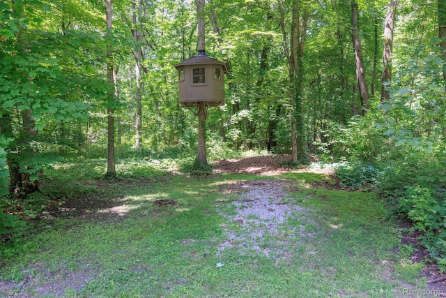 2931 N Lake Pleasant Rd, Attica, MI 48412 - view of yard featuring a wooded view