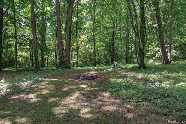 2931 N Lake Pleasant Rd, Attica, MI 48412 - view of yard featuring a fire pit and a forest view