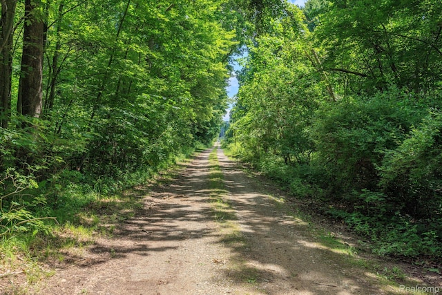2931 N Lake Pleasant Rd, Attica, MI 48412 - view of road