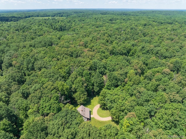2931 N Lake Pleasant Rd, Attica, MI 48412 - bird's eye view of a heavily wooded area