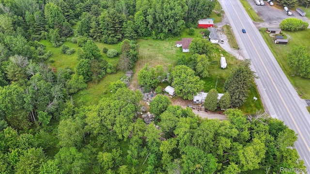 4800 S Huron Rd, Standish, MI 48658 - aerial overview of property's location