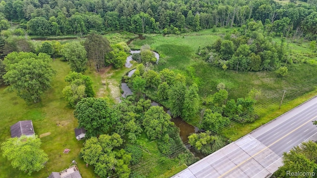 4800 S Huron Rd, Standish, MI 48658 - bird's eye view