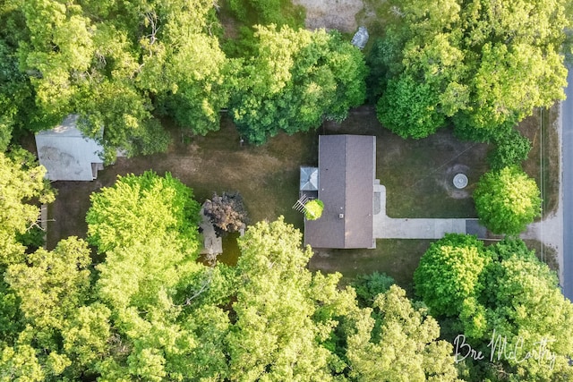 3541 Orshal Rd, Whitehall, MI 49461 - drone / aerial view