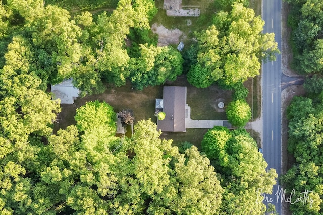 3541 Orshal Rd, Whitehall, MI 49461 - drone / aerial view