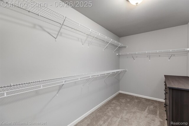 3213 Hill Hollow Ln, Howell, MI 48855 - photo 19