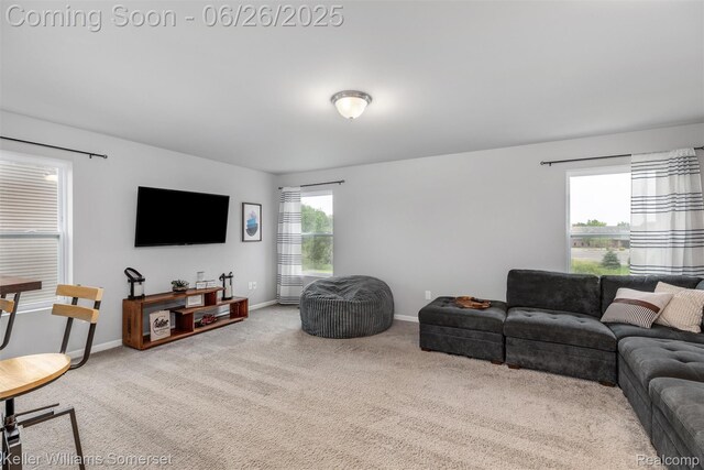 3213 Hill Hollow Ln, Howell, MI 48855 - photo 12