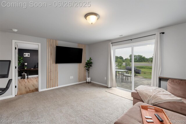 3213 Hill Hollow Ln, Howell, MI 48855 - photo 26