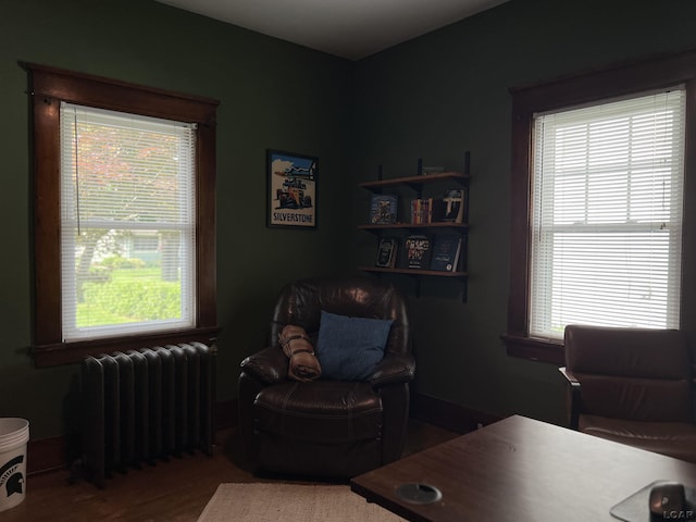 950 College Ave, Adrian, MI 49221 - office area with radiator, wood finished floors, and plenty of natural light