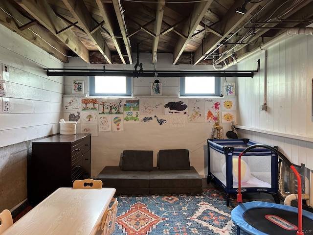 950 College Ave, Adrian, MI 49221 - basement with plenty of natural light and wood walls