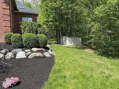 8255 Shady Brook Ln, Flushing, MI 48433 - view of grassy yard featuring a storage unit